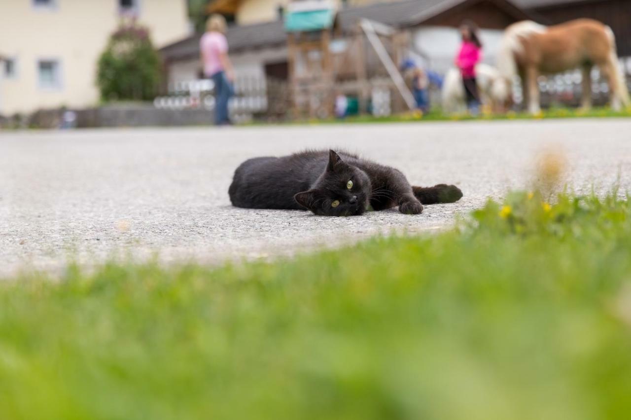 Vakantieboerderij Hieserhof Neustift im Stubaital